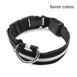 Nylon LED pet dog collar in black, adjustable night safety flashing glow, available in seven colors.