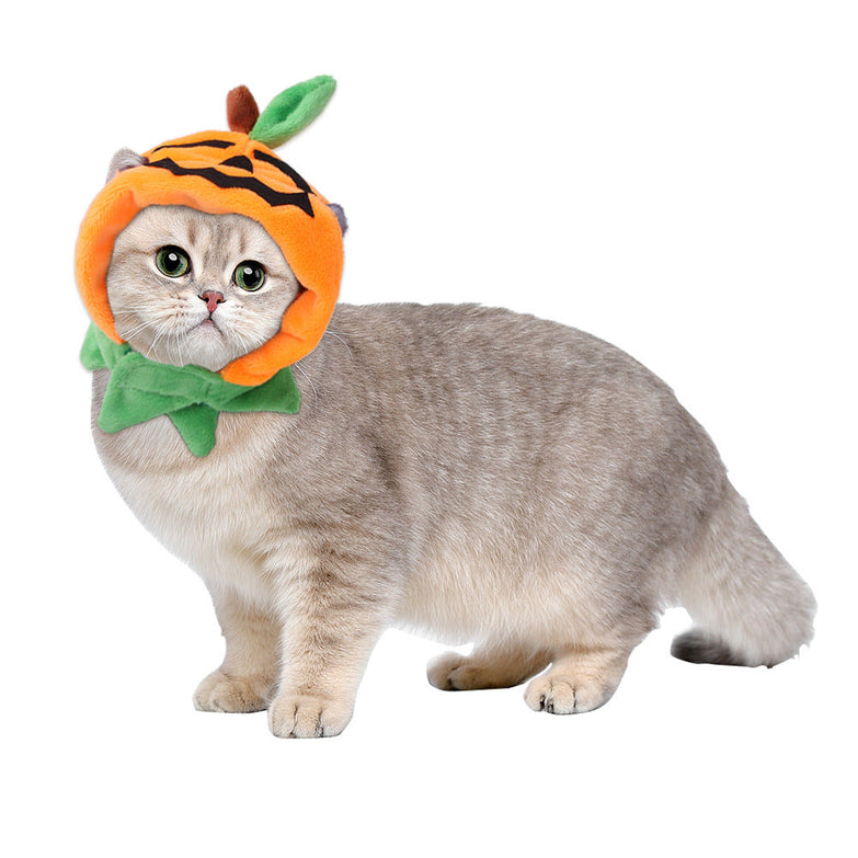 Cartoon curly hair pet hat for cats, plush and colorful design.