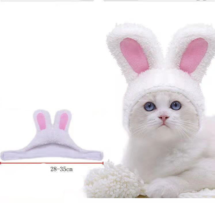 Cat wearing a Christmas funny hat with bunny ears costume, white and pink.