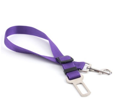 Fixed strap polyester dog leash in purple with metal clip and buckle.