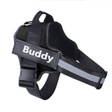 Reflective personalized dog harness with adjustable nylon straps and custom patch.