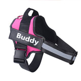 Reflective personalized dog harness with custom patch and adjustable straps for small to large dogs.