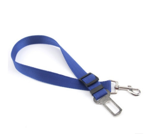 Fixed strap polyester dog leash with durable metal clips.