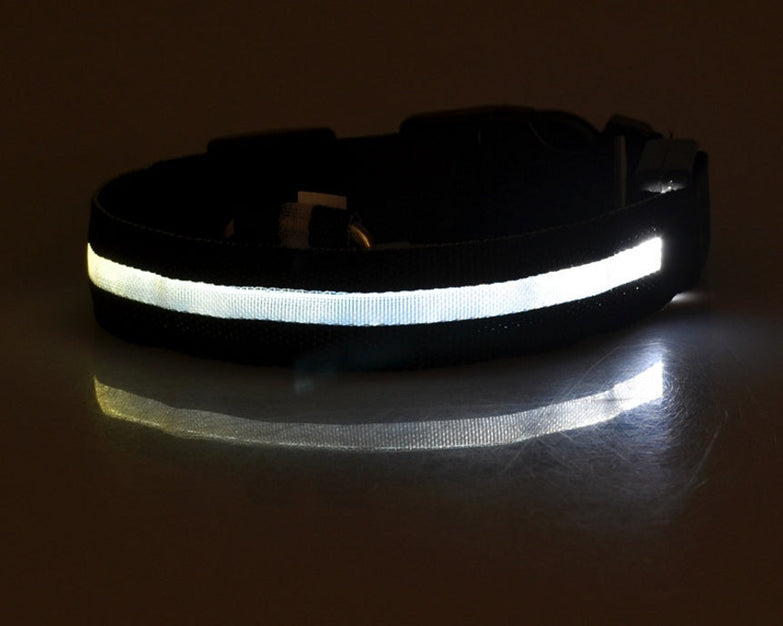 Nylon LED pet dog collar glowing in the dark for night safety.