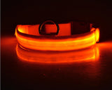 Nylon LED pet dog collar glowing in the dark for night safety.