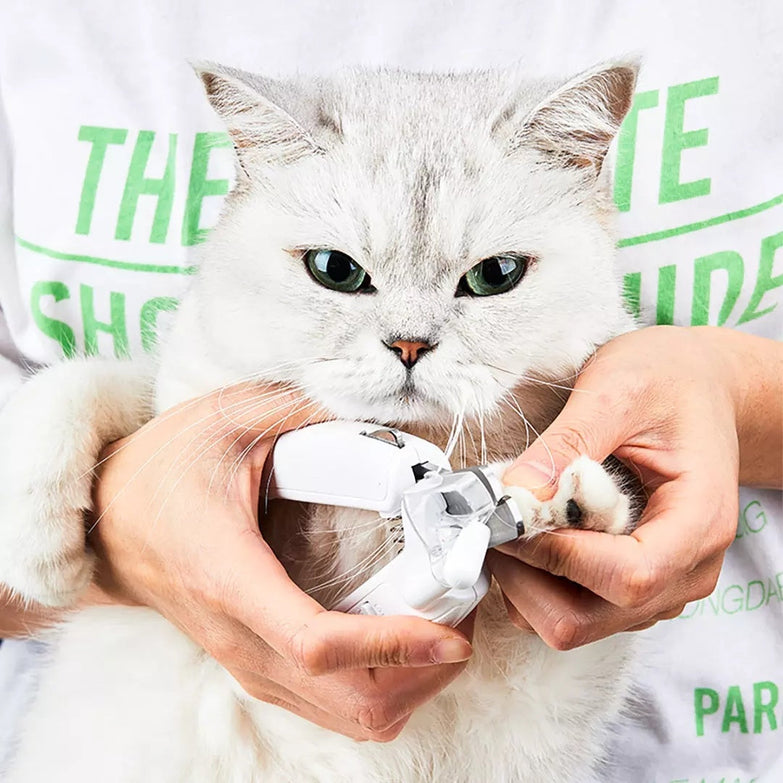 Professional pet nail clipper with LED light in use on a white cat's claws.