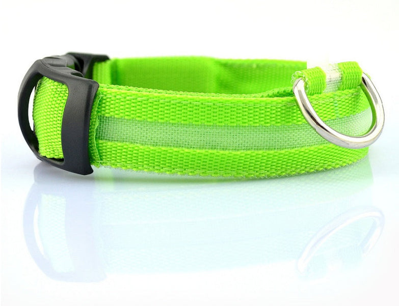 Green nylon LED pet dog collar with adjustable buckle and silver ring.