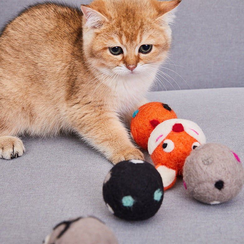 Cute kitten playing with colorful felt stretch ball cat toys.