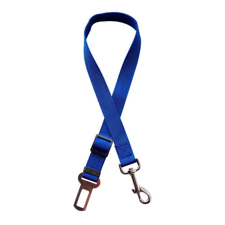 Adjustable pet car seat belt in blue for cat or dog safety while driving.