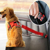 Adjustable pet car seat belt securing a golden dog in a vehicle.