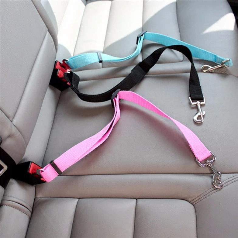 Adjustable pet cat dog car seat belt in pink, black, and sky blue securing harness with metal buckles in vehicle.