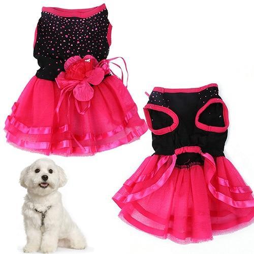 Dog wearing pink and black Pet Princess Wedding dress with floral accents.