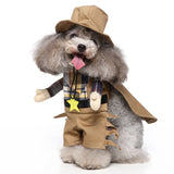 Funny dog in cosplay outfit with hat, clothes, and cloak for Halloween or Christmas.