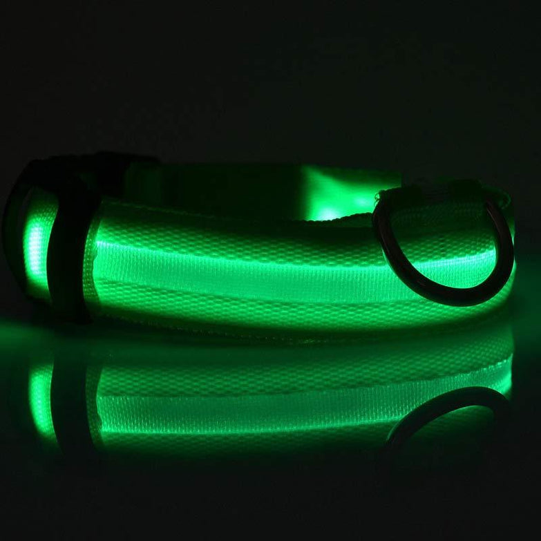 Nylon LED pet dog collar glowing in the dark, night safety flashing.