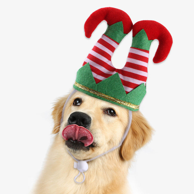 Pet wearing a striped Christmas hat with adjustable band.