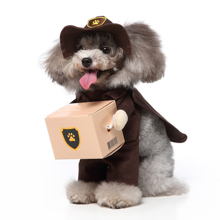 Cosplay pet outfit with hat, cloak, and box for Halloween or Christmas.