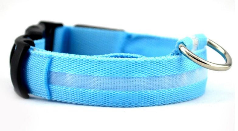 Blue Nylon LED Pet Dog Collar with buckle and ring for night safety.