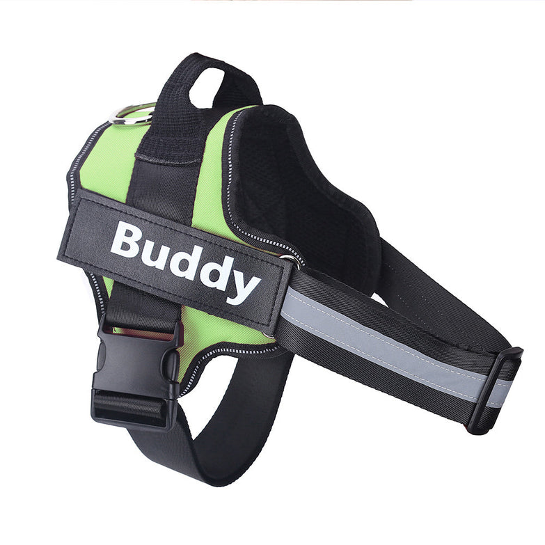 Reflective personalized dog harness with custom patch and adjustable straps.