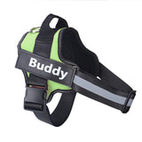 Reflective personalized dog harness with custom patch and adjustable straps.