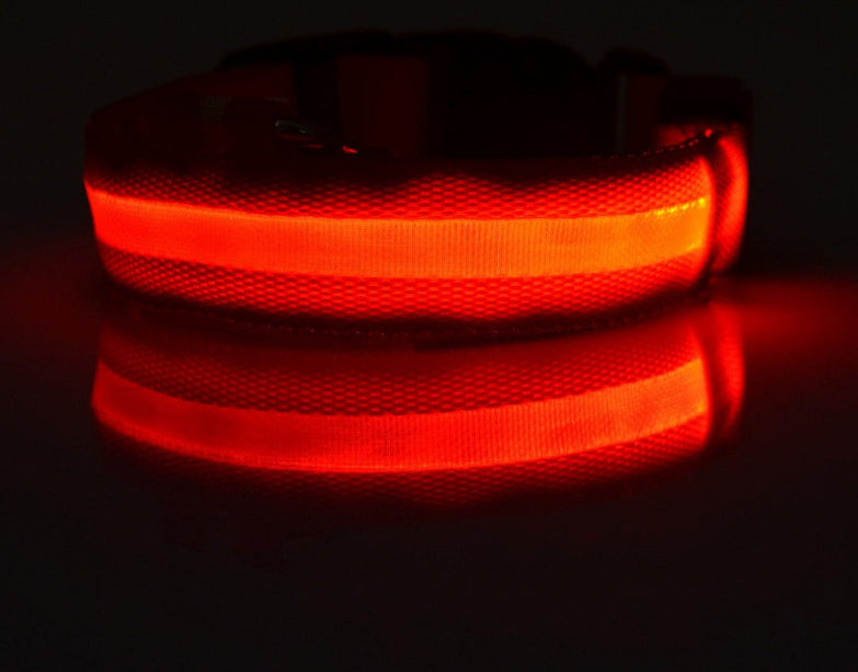 Nylon LED pet dog collar glowing in the dark for night safety.