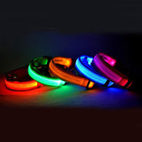 Nylon LED pet dog collars in multiple glowing colors, night safety, flashing and adjustable design.