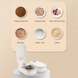 Automatic pet feeder with dual compartments and various food types displayed, including dog/cat food, freeze-dried, raw meat, wet grain, goat's milk, and catnip.