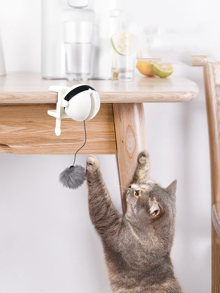 Cat playing with electric automatic lifting motion toy attached to table.