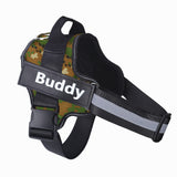 Personalized no-pull reflective dog harness with custom patch and adjustable fit.