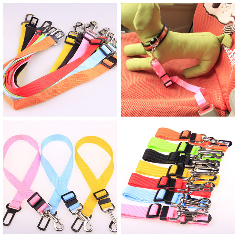 Fixed strap polyester dog leash with durable hardware for pet safety.