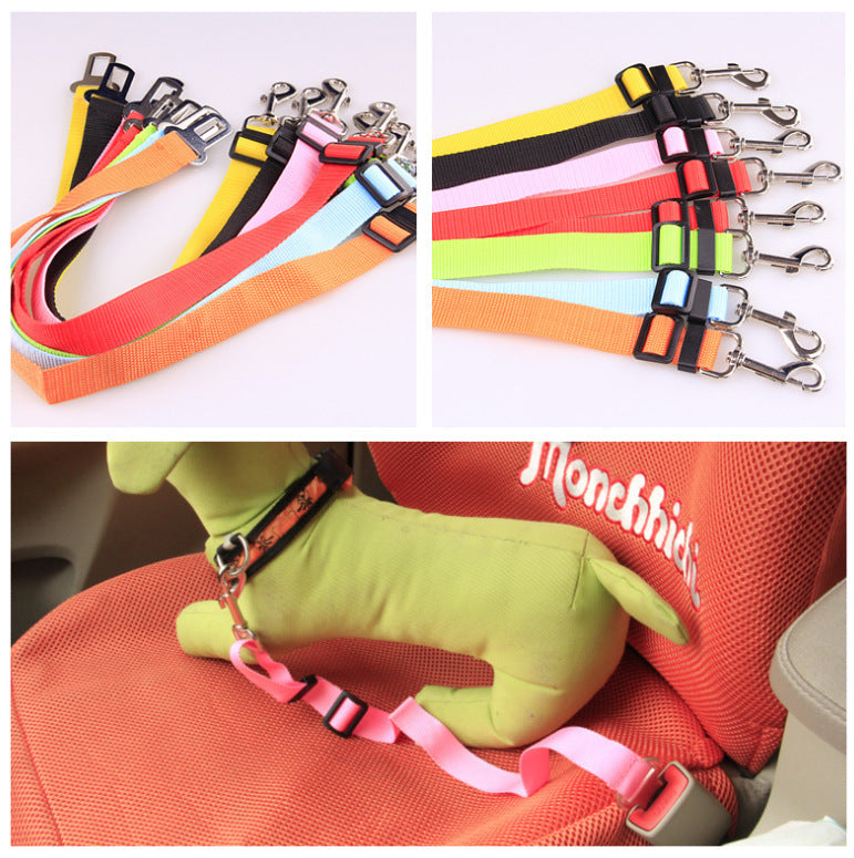 Fixed strap polyester dog leash with metal clips in various colors.