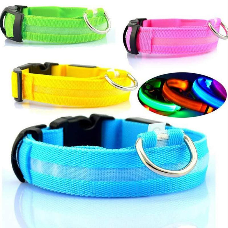 Nylon LED pet dog collars in green, pink, yellow, and blue with glowing effects.