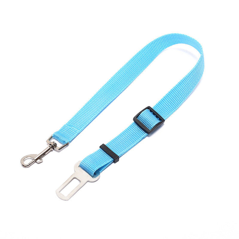 Fixed strap polyester dog leash with metal buckle attachment.