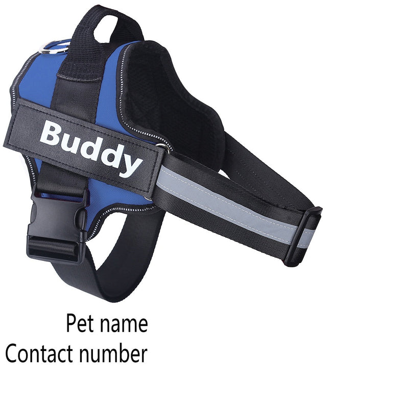 Reflective personalized dog harness with custom patch and adjustable straps for safety and comfort.