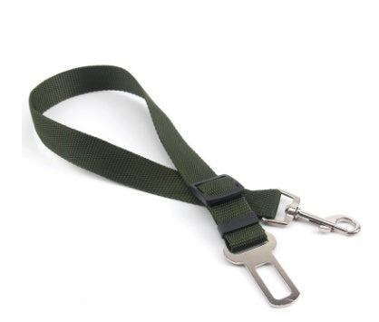 Fixed strap polyester dog leash with metal clips for secure pet travel.