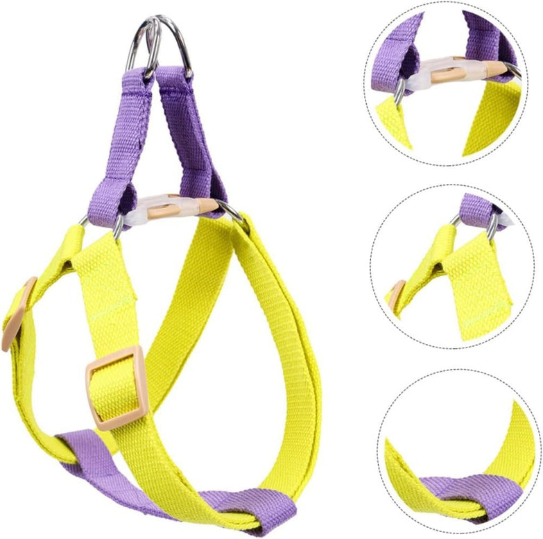 Dog harness and leash set in yellow and purple for small dogs like French Bulldogs and Chihuahuas.