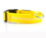 Bright yellow nylon LED pet dog collar with buckle and metal ring for night safety.