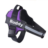 Personalized no-pull dog harness in purple with reflective straps and custom name patch.