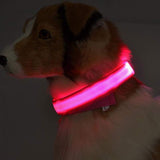 Nylon LED pet dog collar glowing in the dark for night safety.