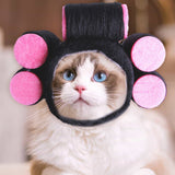 Curly hair pet hat cat dress up accessory with pink rollers.