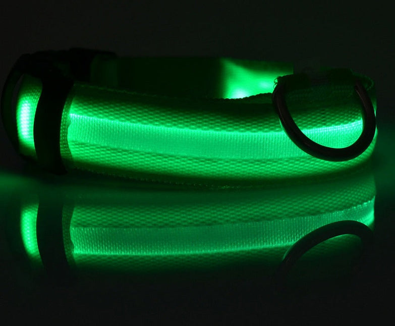 Green nylon LED pet dog collar glowing in the dark for night safety.