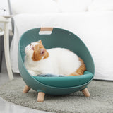 Cat resting in a moss green plastic pet bed on a gray rug.