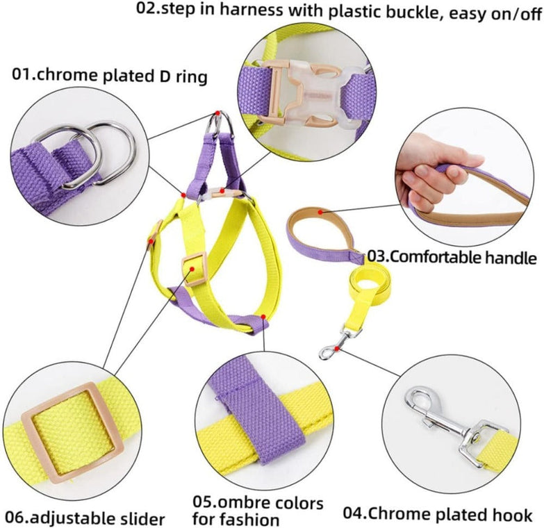 Dog harness and leash set in purple and yellow with chrome-plated hardware, adjustable slider, and comfortable handle.