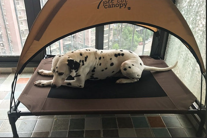 Pet dog on a moisture-proof, breathable Oxford cloth bed with canopy.