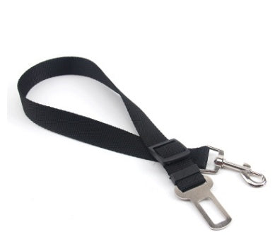 Fixed polyester dog leash with adjustable seatbelt clip.