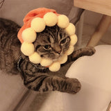 Curly hair pet hat on cat stylishly dressing up in plush material.