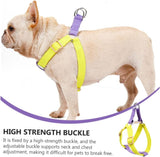 Dog harness and leash in yellow and purple on a French Bulldog, featuring high-strength buckle.