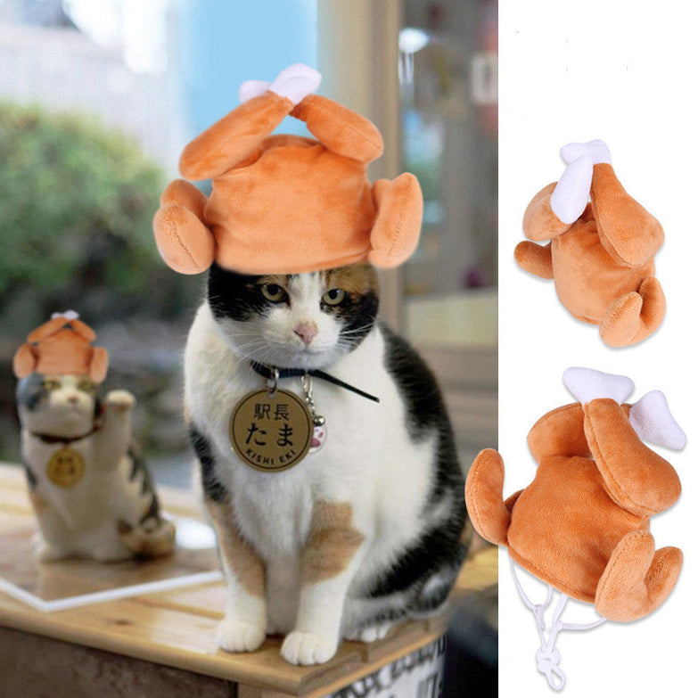 Cat wearing a plush curly hair hat, cartoon style, pet dress-up accessory.