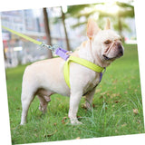 Dog harness and leash set on a French Bulldog in a park.