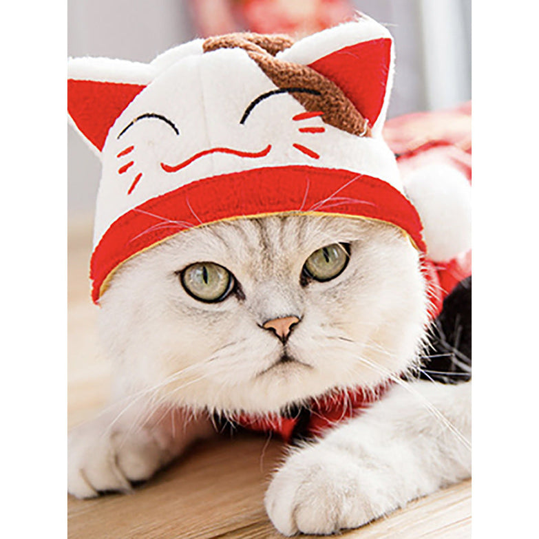 Curly Hair Pet Hat with Cartoon Pattern on Cat