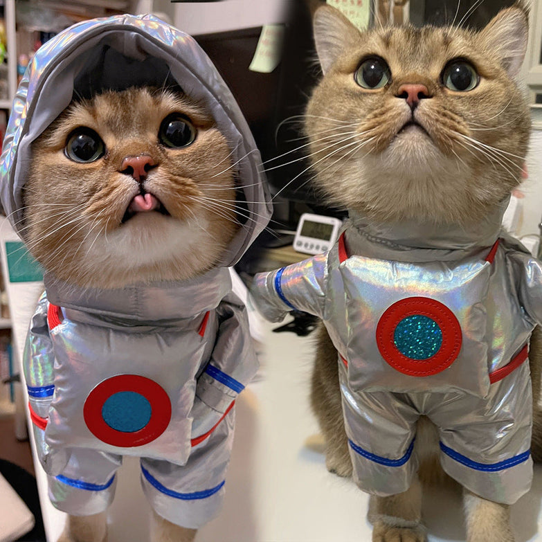 Pet cats dressed in funny space suits for Halloween.